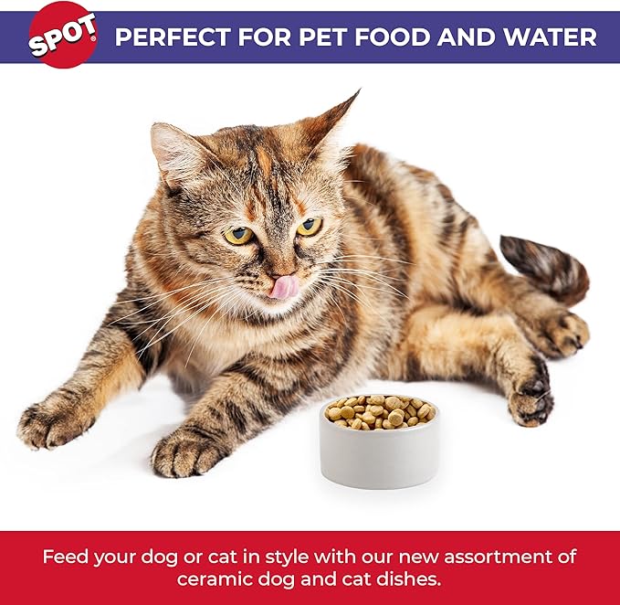 SPOT Ceramic Stoneware- Pet Bowl for Cats, Kittens and Mini Dogs, Classic Heavy Duty Non-Slip Ceramic Bowl for Food and Water -2.75in Diameter