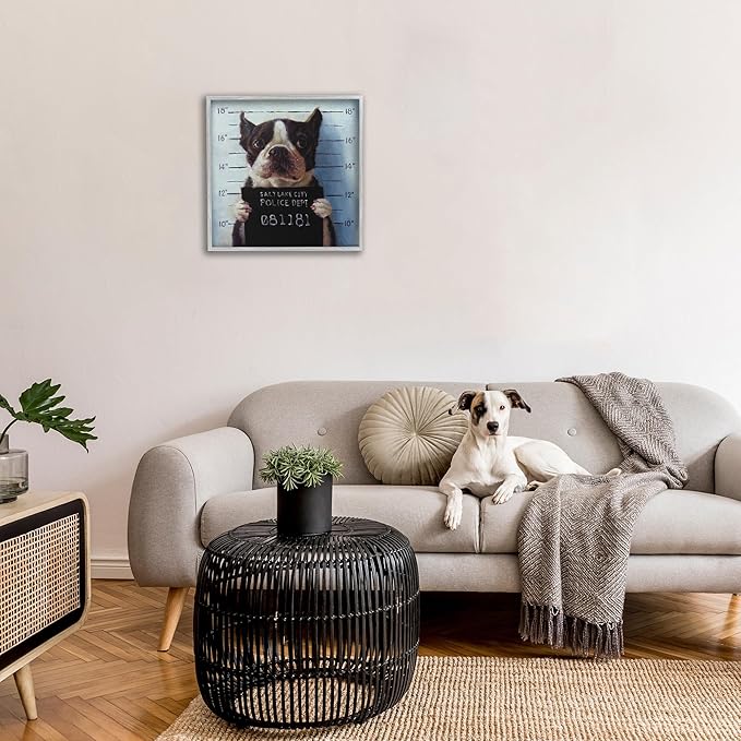 Stupell Industries Funny Boston Terrier Dog Jail Convicted Police, Design by Lucia Heffernan