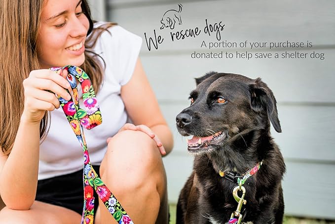 Lucky Love Dog Martingale Dog Collar - Adjustable, No-Slip, Durable, & Soft Webbing Collar for Male and Female Dogs Ideal for Training & Walking - Blackbird, Small