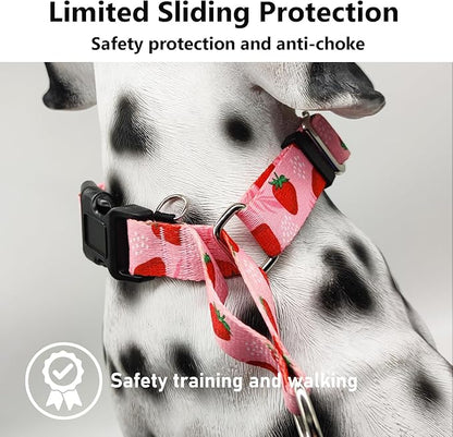 Martingale Collar for Dogs with Buckle Nylon Limited Slip No Pull Training Dog Collars (Pink Strawberry, XLarge)