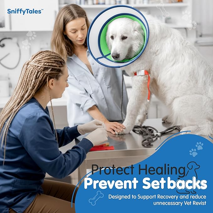 Soft Dog Cone Collar After Surgery – Adjustable Recovery Cone for Medium & Large Dogs – Double-Layer Protective Elizabethan Collar for Wound Protection & Licking Prevention – Comfortable - Blue