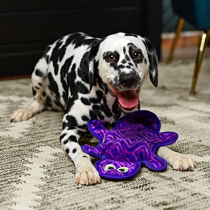 Outward Hound Durablez Medium Gecko Stuffing-Free Squeaky Plush Dog Toy for Puppies & Dogs - Interactive, Soft Yet Tough, No Mess, Jumbo Squeaker, Long-Lasting Play, 14 inch, Purple