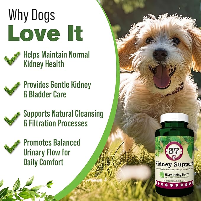Silver Lining Herbs Kidney Support for Dogs – Natural Herbal Canine Kidney Cleanse & Bladder Support Supplement with Cranberry & Astragalus - Urinary Tract Health & Renal Vitamins – 90 Capsules