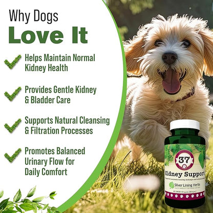 Silver Lining Herbs Kidney Support for Dogs – Natural Herbal Canine Kidney Cleanse & Bladder Support Supplement with Cranberry & Astragalus - Urinary Tract Health & Renal Vitamins – 90 Capsules