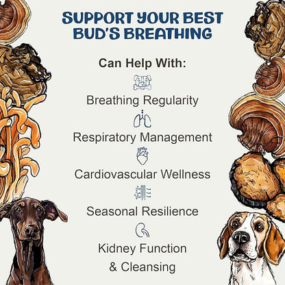 MycoDog Breathe Dog Allergy Relief Drops 2 fl. oz.: Mushroom Extracts & Ashwagandha Tincture | Respiratory Support Itch Relief for Dogs | Chaga & Reishi Mushroom Blend