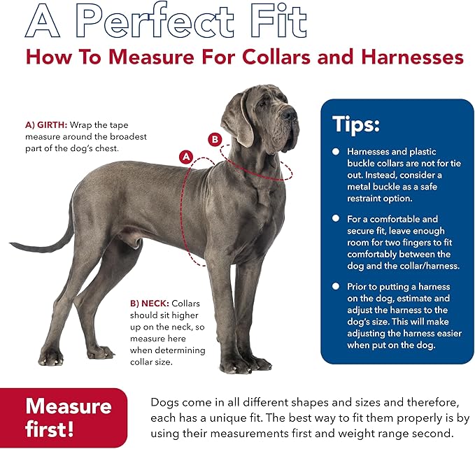 Coastal Pet SecureAway Collar Protector for Flea Collars - Adjustable pet Accessory - Protective Flea Collar for Dogs & Puppy - Red, 5/8" x 10-14"