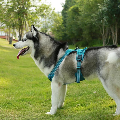 Voyager Dog Harness Dual Leash Attachment No-Pull Control Adjustable Soft but Strong Pet Harness for Medium and Large Dogs with 3M Reflective Technology, Turquoise Nylon, M (Chest: 20-25")