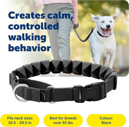 PetSafe Soft Point Training Collar - Comfortable No-Pull Adjustable Quick-Release Collar with Removable Soft Rubber Points - Pain-Free Training for Better Leash Manners - Large - Black