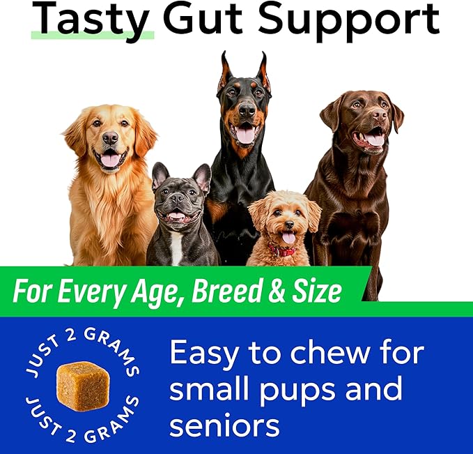 BARK&SPARK Dog Probiotics for Digestive Health & Enzymes - Diarrhea, Gas, Upset Stomach Relief & Season Allergy - Chews for Digestion - Pet Probiotics for Dogs (60Ct, Chicken)