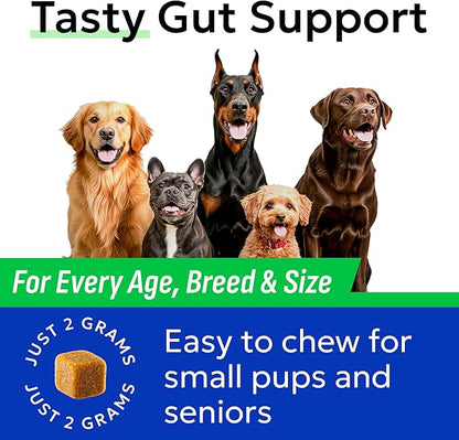 BARK&SPARK Dog Probiotics for Digestive Health & Enzymes - Diarrhea, Gas, Upset Stomach Relief & Season Allergy - Chews for Digestion - Pet Probiotics for Dogs (60Ct, Chicken)