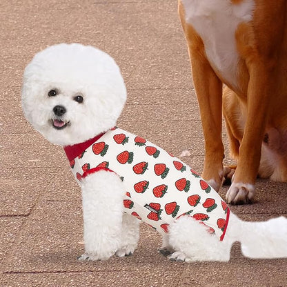 2 Packs Pet Dog Recovery Onesie Suit for Dogs Cats After Surgery,Dog Abdominal Wounds Bandages Cone E-Collar Alternative. (Pink, S)