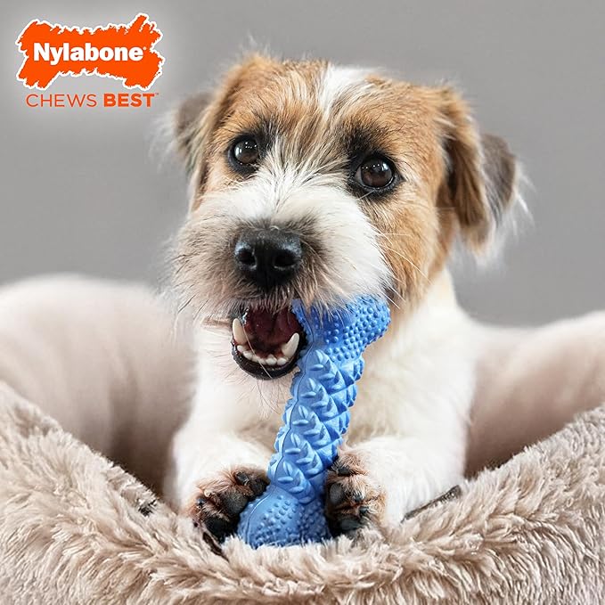 Nylabone Braid Bone Strong Chew Toy for Dogs, Natural Rubber Dog Toy for Moderate & Aggressive Chewers, Peanut Butter Flavor, Medium Dogs - Up to 35 lbs, 1 Count