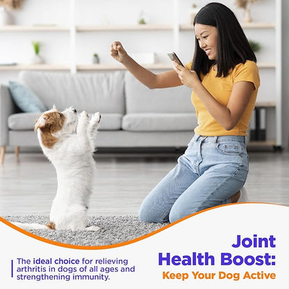 Jack & Milo Supplement Anti Inflammatory for Dogs with Turmeric, Hip, and Joint - Dog Arthritis Pain Relief, Support for Mobility & Wellness, USA Made-GMP Certified, Non-GMO, 120 Tablets