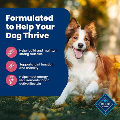 Blue Buffalo Life Protection Formula, Adult Dry Dog Food, Made with Natural Ingredients, Chicken Free, Salmon & Brown Rice, 40lb Bag