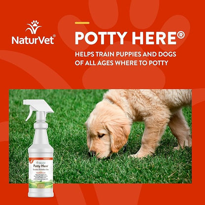 NaturVet – Potty Here Training Aid Spray | Attractive Scent Helps Train Puppies & Dogs Where To Potty | Formulated For Indoor & Outdoor Use | 32 oz