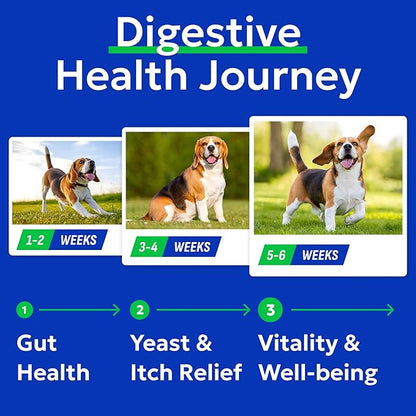 BARK&SPARK Dog Probiotics & Digestive Enzymes (Gut Health) Allergy & Itchy Skin - Pet Diarrhea Gas Treatment Upset Stomach Relief, Digestion Health Prebiotic Supplement Dog Treats (240Ct Chicken)