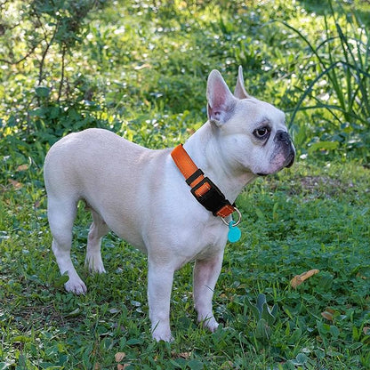 Ladoogo Reflective Dog Collar Padded with Soft Neoprene Breathable Adjustable Nylon Dog Collars for Small Medium Large Dogs (Small (Pack of 1), Orange Collar+Leash)