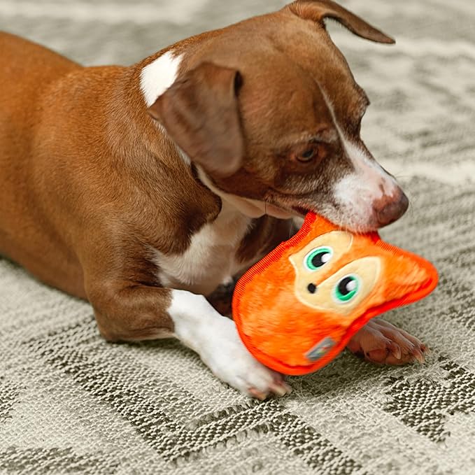 Outward Hound Durablez Minis – Squeaky Plush Dog Toy, No Stuffing for Less Mess, Interactive & Tough, Jumbo Squeaker, Puppies & Small Dogs, Fox, 6.3"