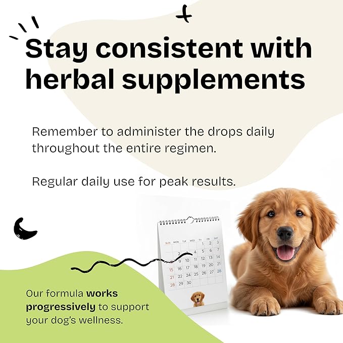 Forever Puppy Mullein Tincture for Dogs - Respiratory Health Support - Canine Mullein Drops for Lungs - Dog Food Supplements and Vitamins - All Breeds & Sizes - Sugar & Alcohol-Free - 2 fl oz