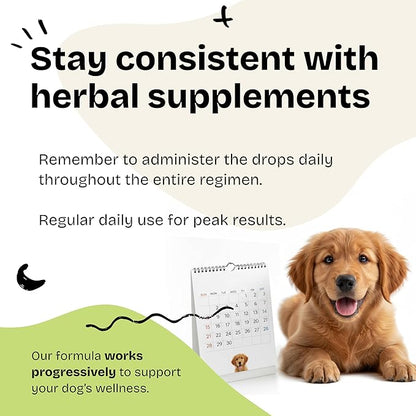 Forever Puppy Mullein Tincture for Dogs - Respiratory Health Support - Canine Mullein Drops for Lungs - Dog Food Supplements and Vitamins - All Breeds & Sizes - Sugar & Alcohol-Free - 2 fl oz