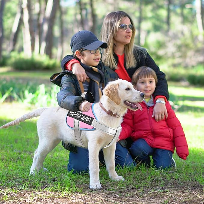 voopet Emotional Support Dog Harness, Professional Service Dog Vest Harness for Small Medium Large Dogs, Reflective Breathable and Adjustable No Pull/Choke ESA Essential Harness