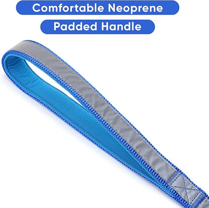 Pawtitas Blue Dog Leash 6 ft Custom ID Lead for Dogs & Puppies Reflective Comfortable Padded Handle Embroidered Name & Phone Number