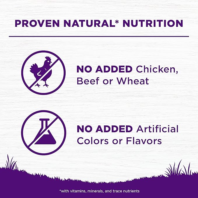 Wellness Complete Health Sensitive Skin and Stomach Dry Dog Food, Wholesome Grain Kibble, Natural, Chicken Free, Salmon and Rice Recipe, 24 lb Bag
