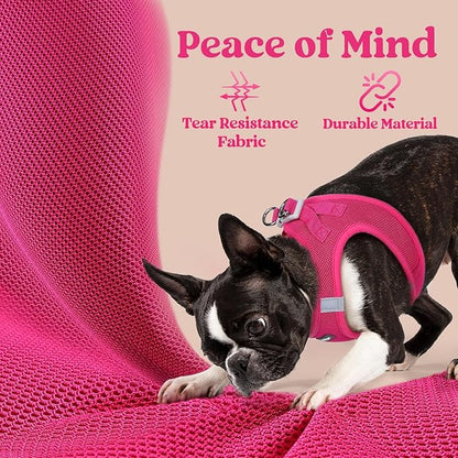 rabbitgoo Small Dog Harness, Step-in Soft Mesh Puppy Vest with Safety Buckle, Breathable Reflective Pet Harness for Small Medium Dogs, Rose Red XL