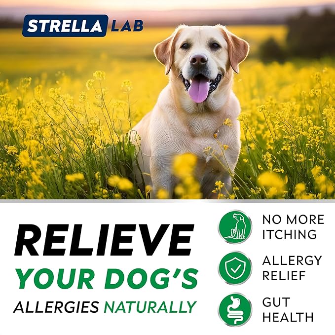StrellaLab Dog Allergy Relief & Anti Itch Support Chews w/Omega 3: Real Ingredients, Real Taste! Skin & Coat Immune Supplement w/Fish Oil, Pumpkin & Enzymes — Developed by Experts - Made in USA -180Ct
