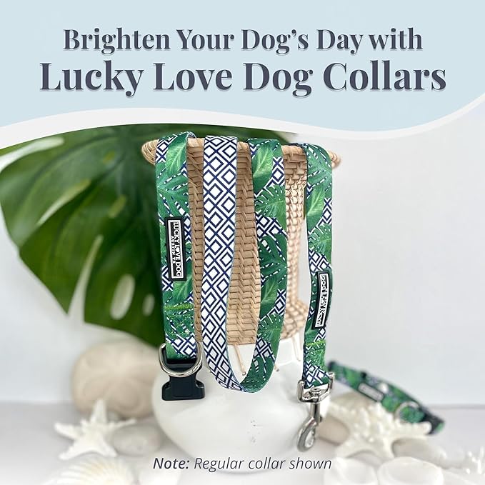 Lucky Love Dog Martingale Collar, Premium No Slip Martingale Collar for Small Boy Dogs, Great for Whippets, Greyhounds, and More (Small, Blue Laguna)