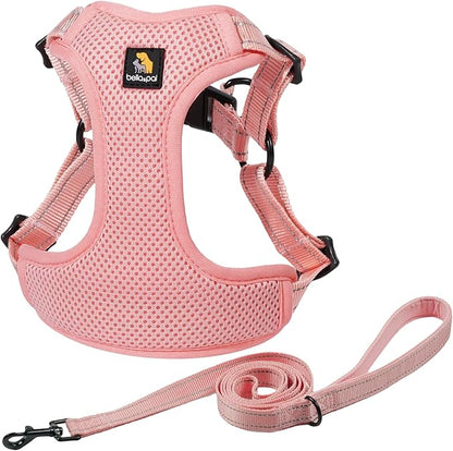 BELLA & PAL Adjustable Step-in Dog Harness, Puppy No-Pull Vest with Leash Set for XS/Small & Medium Dog, Breathable All-Weather Mesh, Reflective Strip, Secure Hook & Loop