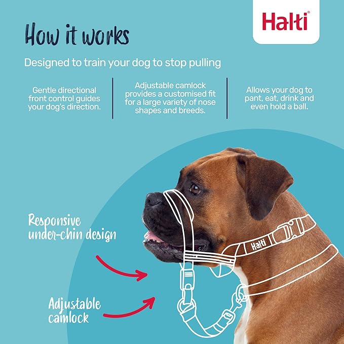 Halti Optifit Headcollar - Stop Your Dog Pulling on the Leash. Adjustable, Reflective and Lightweight, with Padded Nose Band. Dog Training Anti-Pull Collar for Medium Dogs (Size Medium)