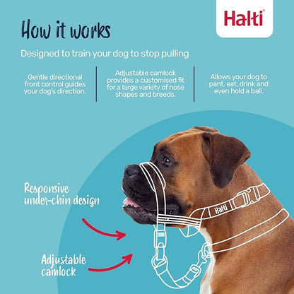 Halti Optifit Headcollar - Stop Your Dog Pulling on the Leash. Adjustable, Reflective and Lightweight, with Padded Nose Band. Dog Training Anti-Pull Collar for Medium Dogs (Size Medium)