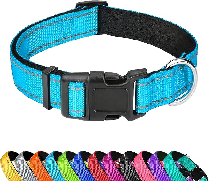 Reflective Dog Collar, Adjustable Soft Neoprene Padded Nylon Pet Collars with Buckle for Extra Large Dogs, Sky Blue,XL