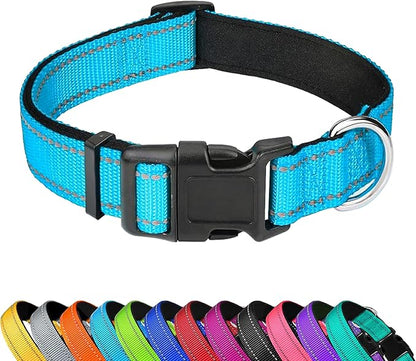 Reflective Dog Collar, Adjustable Soft Neoprene Padded Nylon Pet Collars with Buckle for Puppy and Small Dogs, Cats, Sky Blue,XS