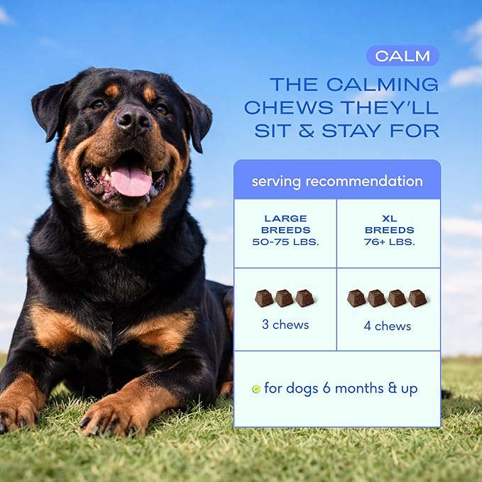 Native Pet Calming Chews for Dogs Large Breed - Promotes Calming Effect, Supports Emotional Balance & Reduces Hyperactivity - Hemp Seed, Melatonin for Dogs, L-Theanine & Casein - 30 Days Supply