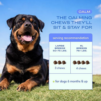 Native Pet Calming Chews for Dogs Large Breed - Promotes Calming Effect, Supports Emotional Balance & Reduces Hyperactivity - Hemp Seed, Melatonin for Dogs, L-Theanine & Casein - 30 Days Supply