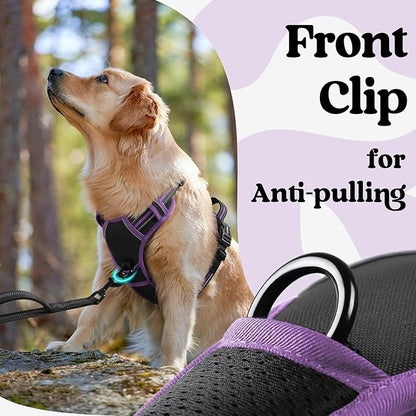 rabbitgoo Dog Harness Small Sized, No Pull Pet Harness with 3 Buckles, Adjustable Soft Padded Vest with Control Handle, Walking Reflective Pet Vest for Small Dogs, Black & Purple, S