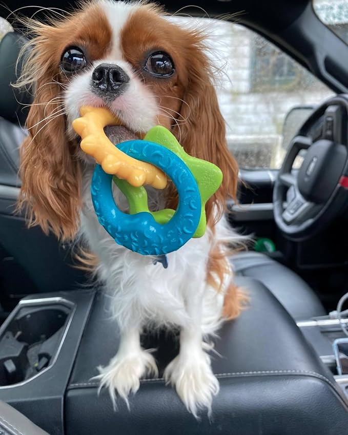 Nylabone Teething Rings Puppy Power Chew Toy for Puppies, Soothing Puppy Teething Bone, Enrichment Toy for Puppies, Bacon Flavor, Small Dogs - Up to 25 Ibs, 1 Count