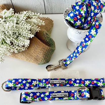 Lucky Love Dog - Easy Click Buckle Dog Collar with Leash Set Combo, Durable & Comfortable for Male & Female Dogs, Pet Collar for Medium Dogs, Secure Fit - Lilian Combo, Medium