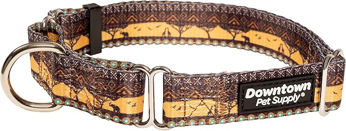 Downtown Pet Supply - Martingale Collar for Dogs - Big, Wide & Thick - Escape-Proof, Weatherproof, Durable & Comfortable - Sahara - Medium