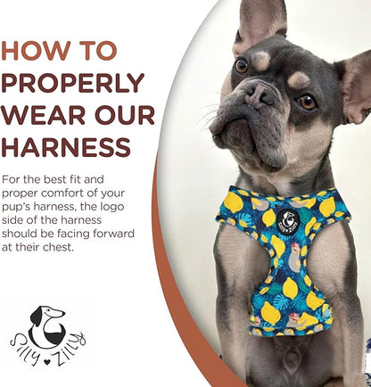 No Pull Harness and Leash Set - 6-in-1 Adjustable Vest Harness and Collars for Medium and Large Dogs. (Lemon, Extra Small)