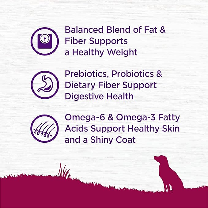 Wellness Complete Health Healthy Weight Small Breed Adult Dry Dog Food, Wholesome Grain Kibble, Natural, Turkey and Brown Rice Recipe, 4 lb Bag