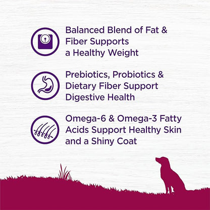 Wellness Complete Health Healthy Weight Small Breed Adult Dry Dog Food, Wholesome Grain Kibble, Natural, Turkey and Brown Rice Recipe, 4 lb Bag