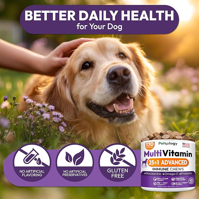 Dog Multivitamin Chewable - Dog Vitamins and Supplements with Glucosamine - 170 Chews - Hip & Joint, Pet Immune Support, Skin & Coat, Gut & Heart Health - Senior & Puppy Multivitamin Pet Supplement