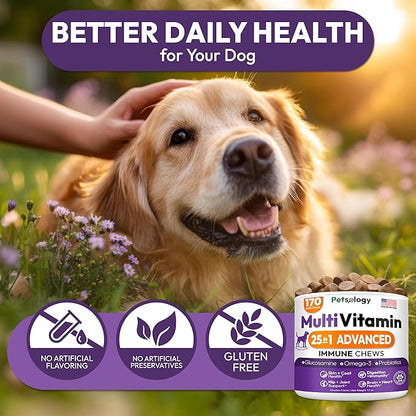 Dog Multivitamin Chewable - Dog Vitamins and Supplements with Glucosamine - 170 Chews - Hip & Joint, Pet Immune Support, Skin & Coat, Gut & Heart Health - Senior & Puppy Multivitamin Pet Supplement