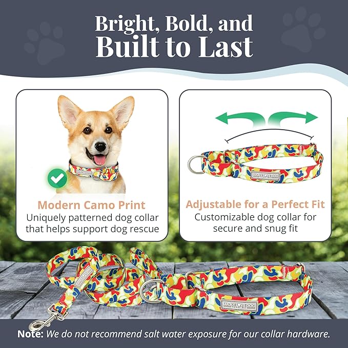 Lucky Love Dog Martingale Dog Collar & Leash - Adjustable, No-Slip, Durable, Comfortable, Soft Webbing, & Stylish Patterned Collar & Leash Set for Male and Female Dogs - Oscar Combo, Small