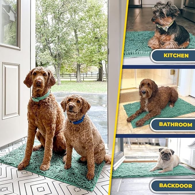 Muddy Mat® | Super Absorbent Door Mat Indoor, Microfiber Quick Dry Chenille Entryway Rug, Non-Slip Front Door Mat, Indoor Mats for Entryway, Machine Washable Pet Rug, Sea Green 24"x36"