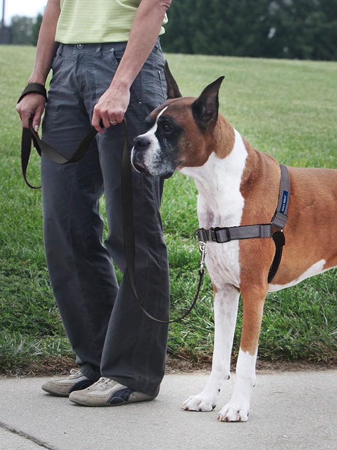 PetSafe Easy Walk Deluxe Dog Harness, No Pull Dog Harness – Perfect for Leash & Harness Training – Stops Pets from Pulling and Choking on Walks – Medium, Steel