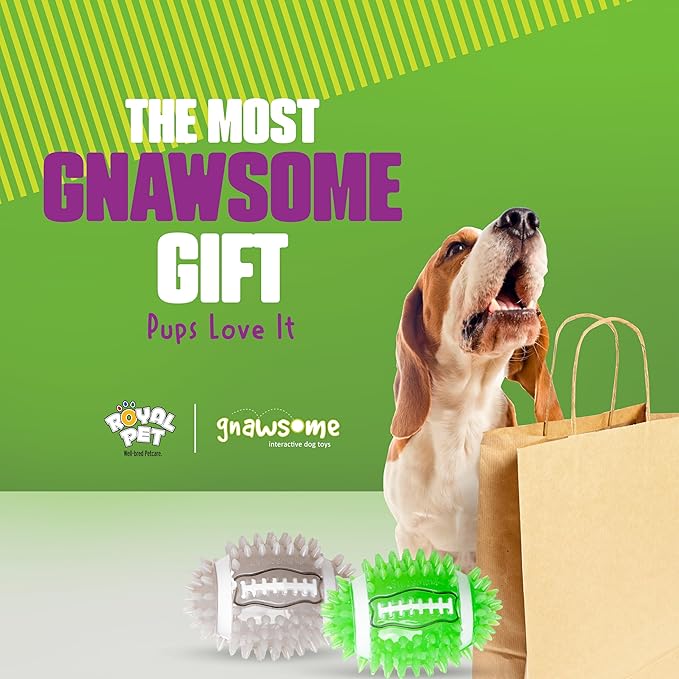Gnawsome 4.5" Spiky Squeak & Light Football for Dogs - Durable, Rubber Bouncy Puppy Fetch & Chew Toy for Your Pet, Colors Will Vary for All Breed Sizes (Pack of 2)